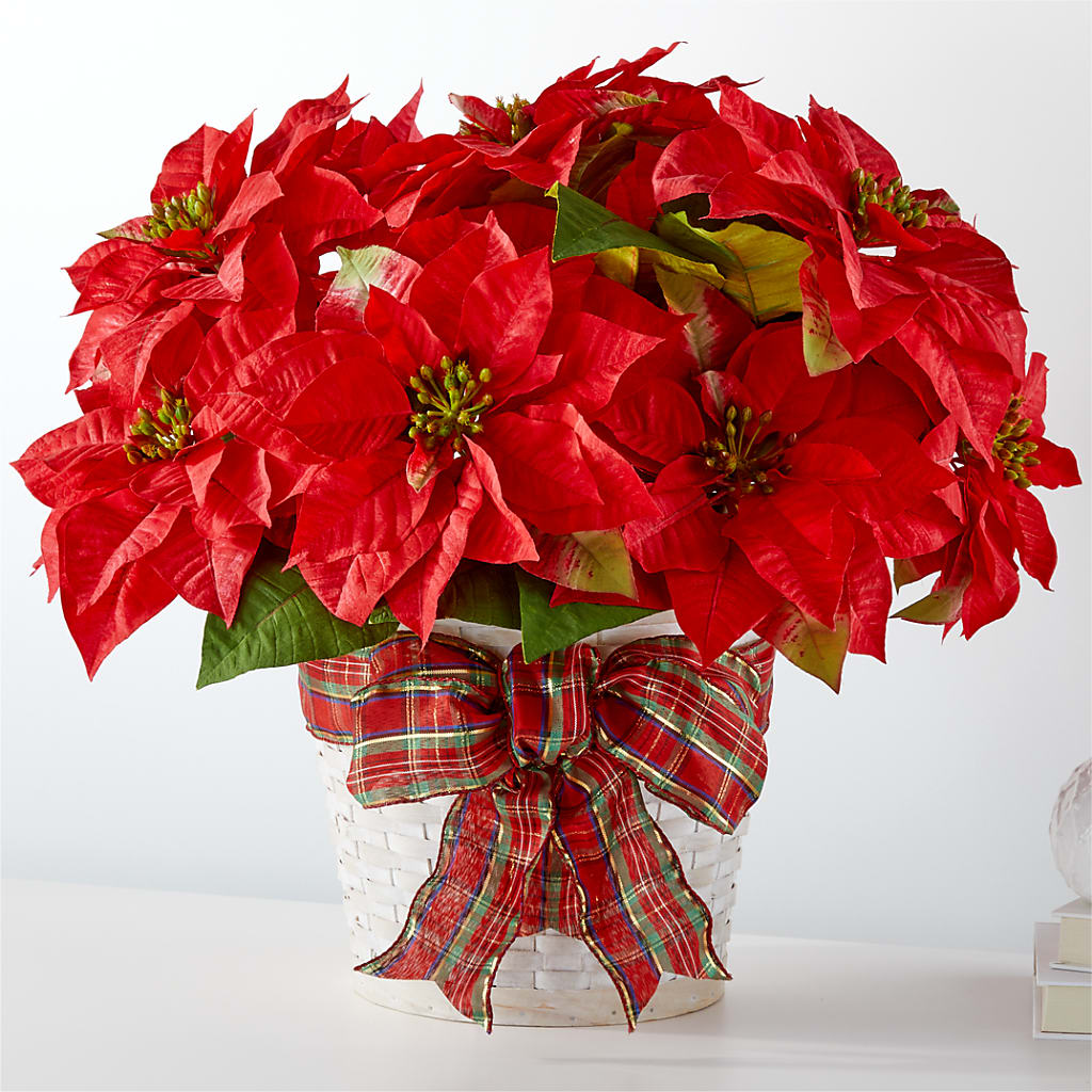Happiest Holidays Poinsettia – HUTCHINSON'S FLOWERS INC, Sykesville MD