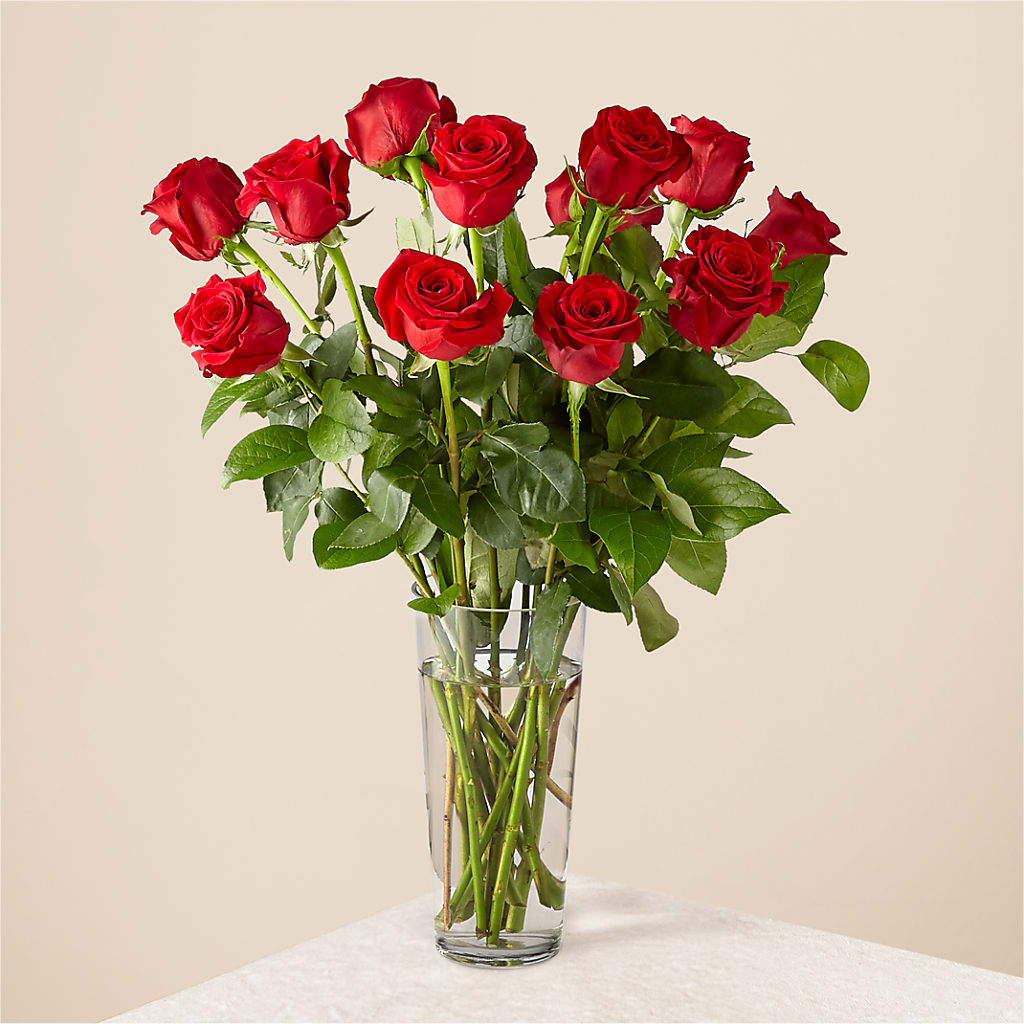 Long Stem Red Rose Bouquet – HUTCHINSON'S FLOWERS INC, Sykesville MD