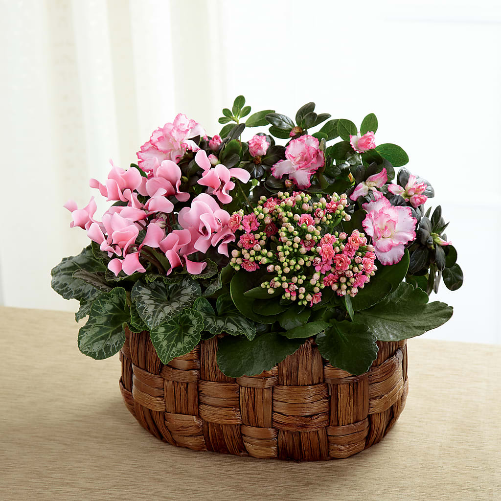 Pink Assortment – HUTCHINSON'S FLOWERS INC, Sykesville MD