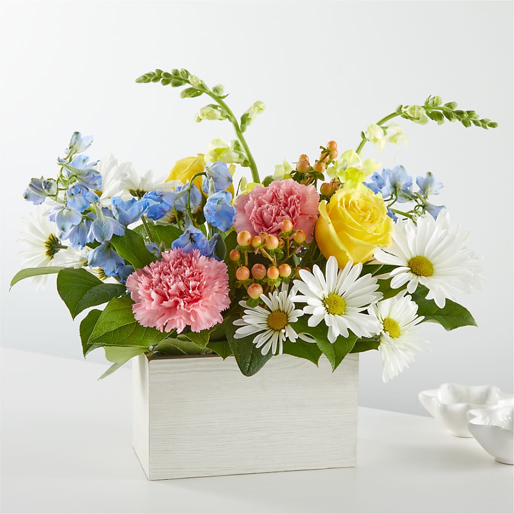 Sun Salutation Box Bouquet – HUTCHINSON'S FLOWERS INC, Sykesville MD