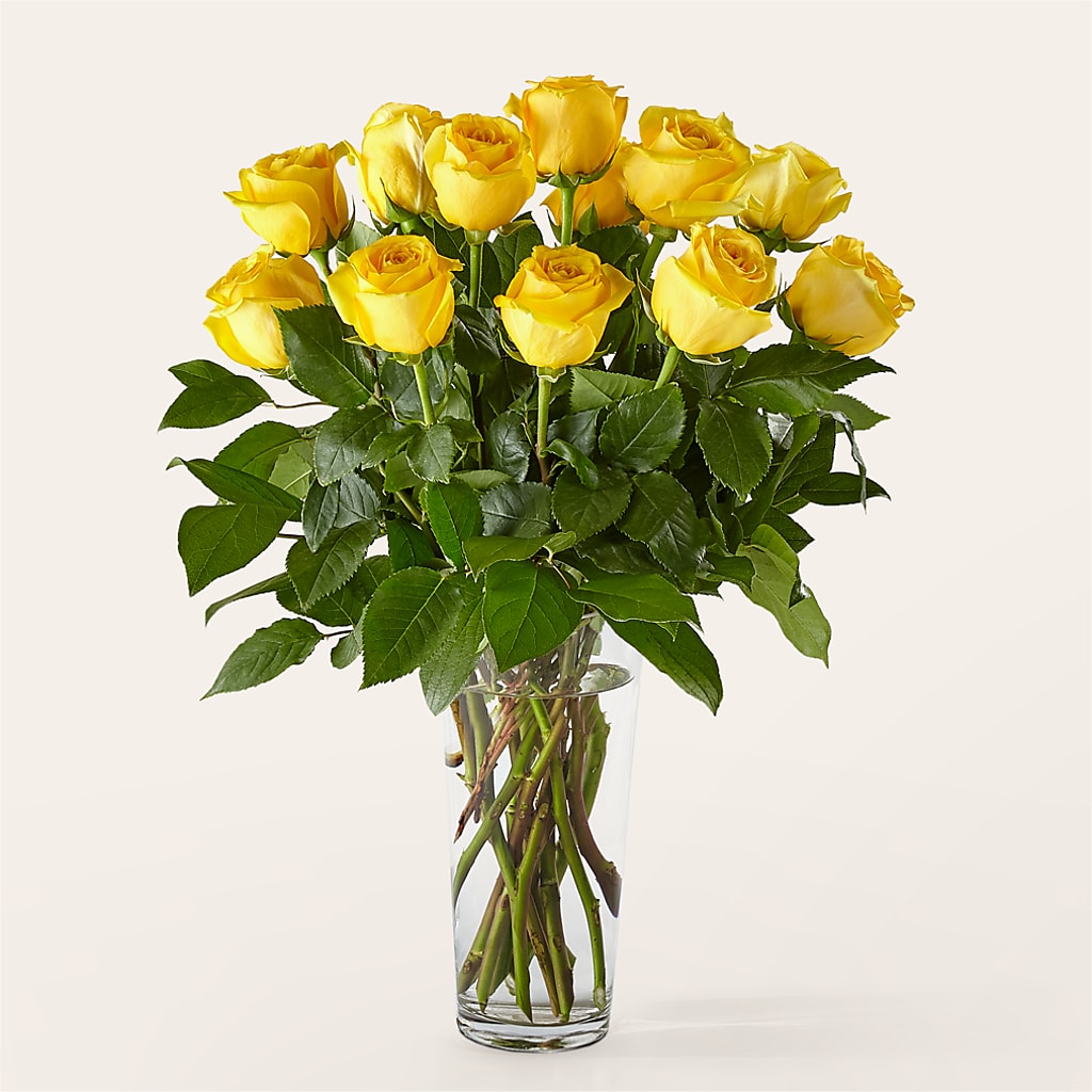 Long Stem Yellow Rose Bouquet – HUTCHINSON'S FLOWERS INC, Sykesville MD