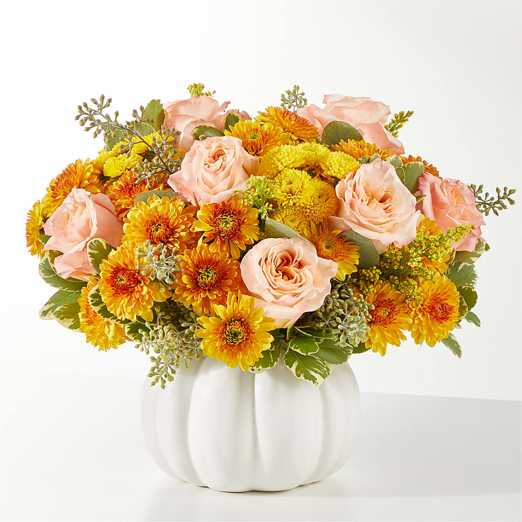 Peachy Pumpkin – HUTCHINSON'S FLOWERS INC, Sykesville MD