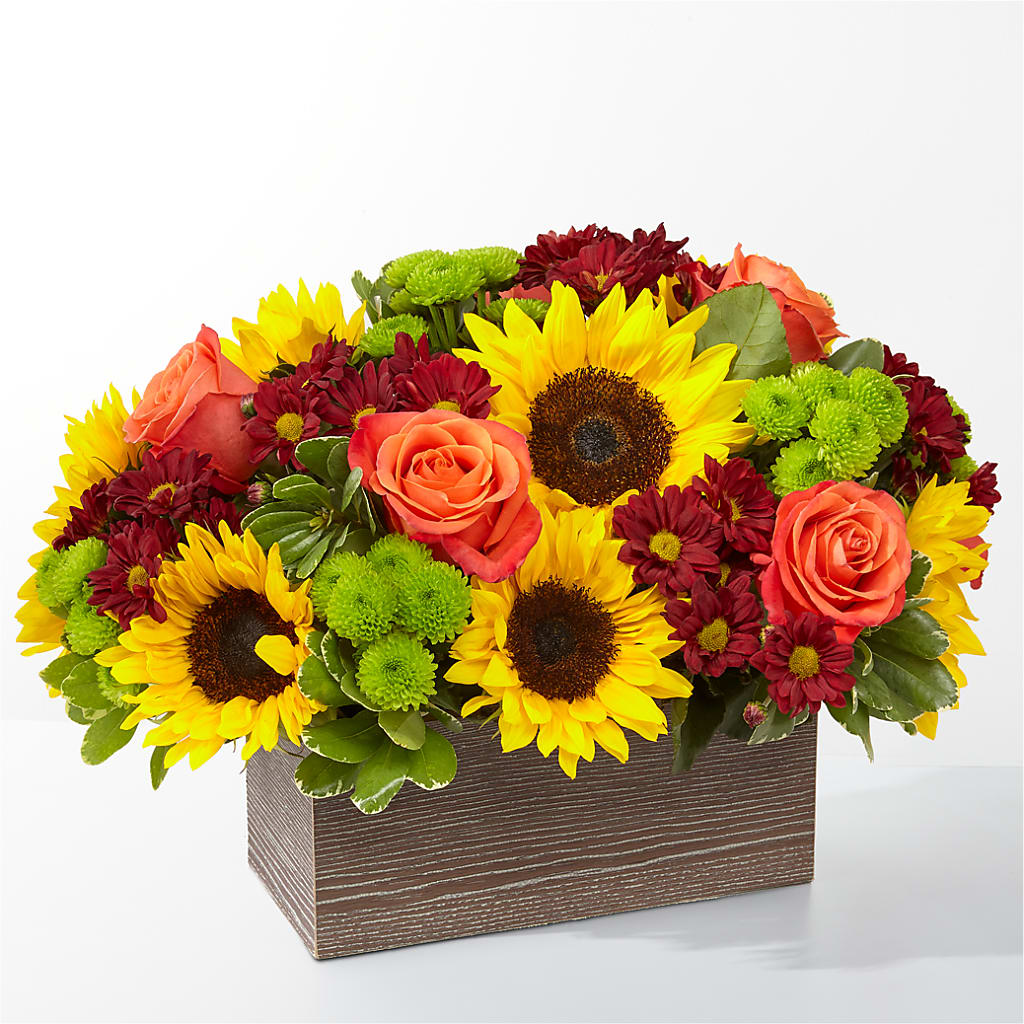 Happy Harvest Garden – HUTCHINSON'S FLOWERS INC, Sykesville MD