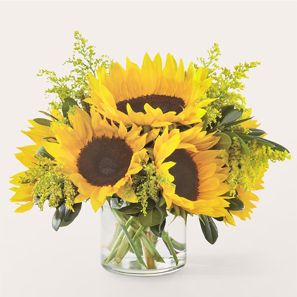 Beaming Sunflower Bouquet – HUTCHINSON'S FLOWERS INC, Sykesville MD