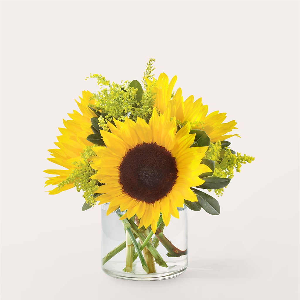 Beaming Sunflower Bouquet – HUTCHINSON'S FLOWERS INC, Sykesville MD