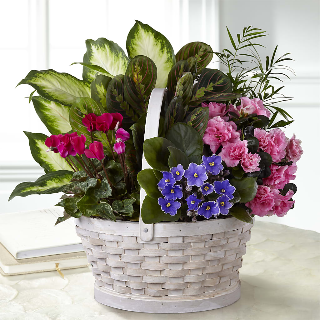Peaceful Garden Planter – HUTCHINSON'S FLOWERS INC, Sykesville MD