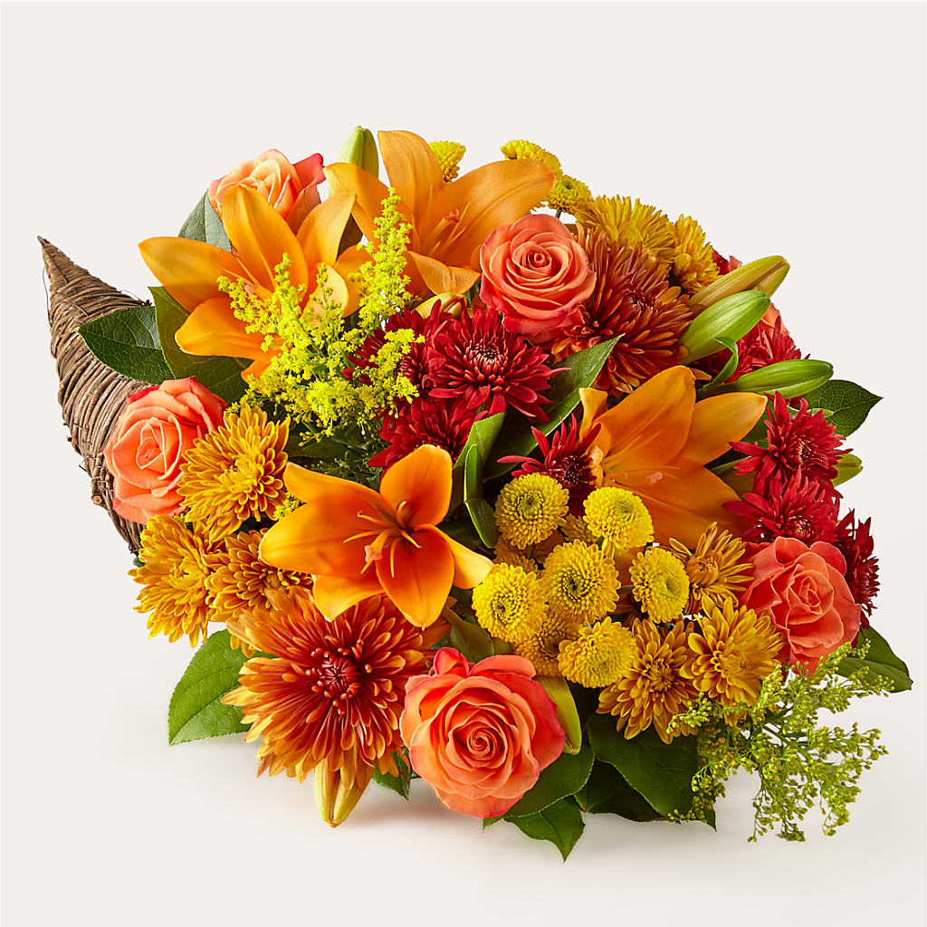 Feast of Color Cornucopia – HUTCHINSON'S FLOWERS INC, Sykesville MD