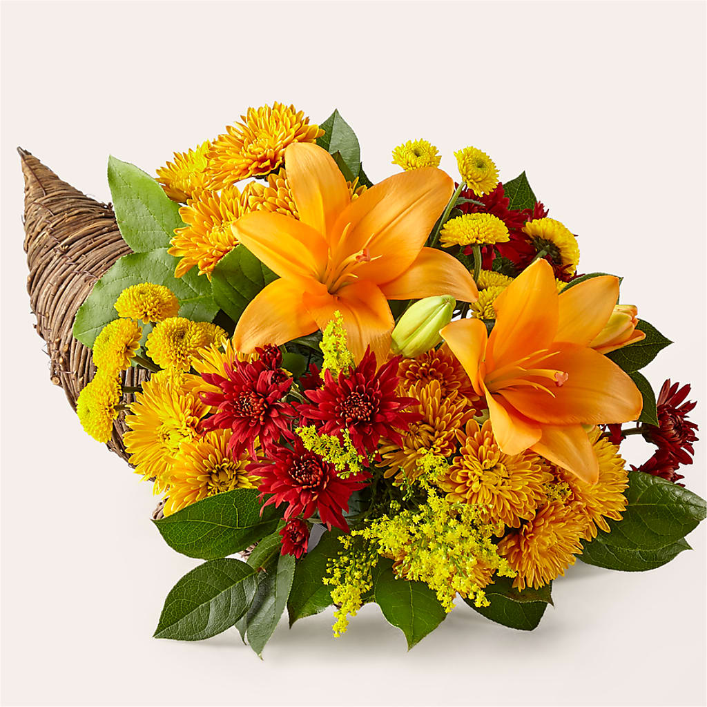 Feast of Color Cornucopia – HUTCHINSON'S FLOWERS INC, Sykesville MD