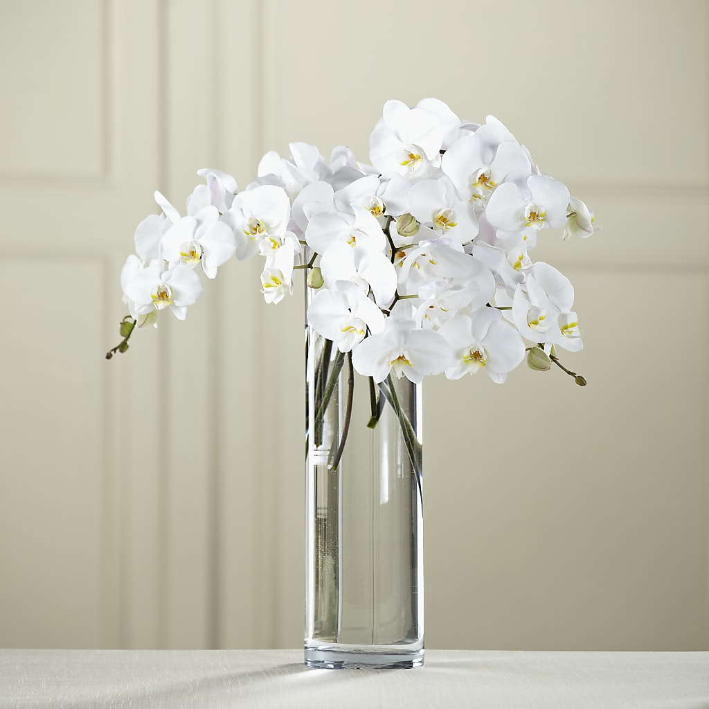 White Phalaenopsis Bouquet – HUTCHINSON'S FLOWERS INC, Sykesville MD