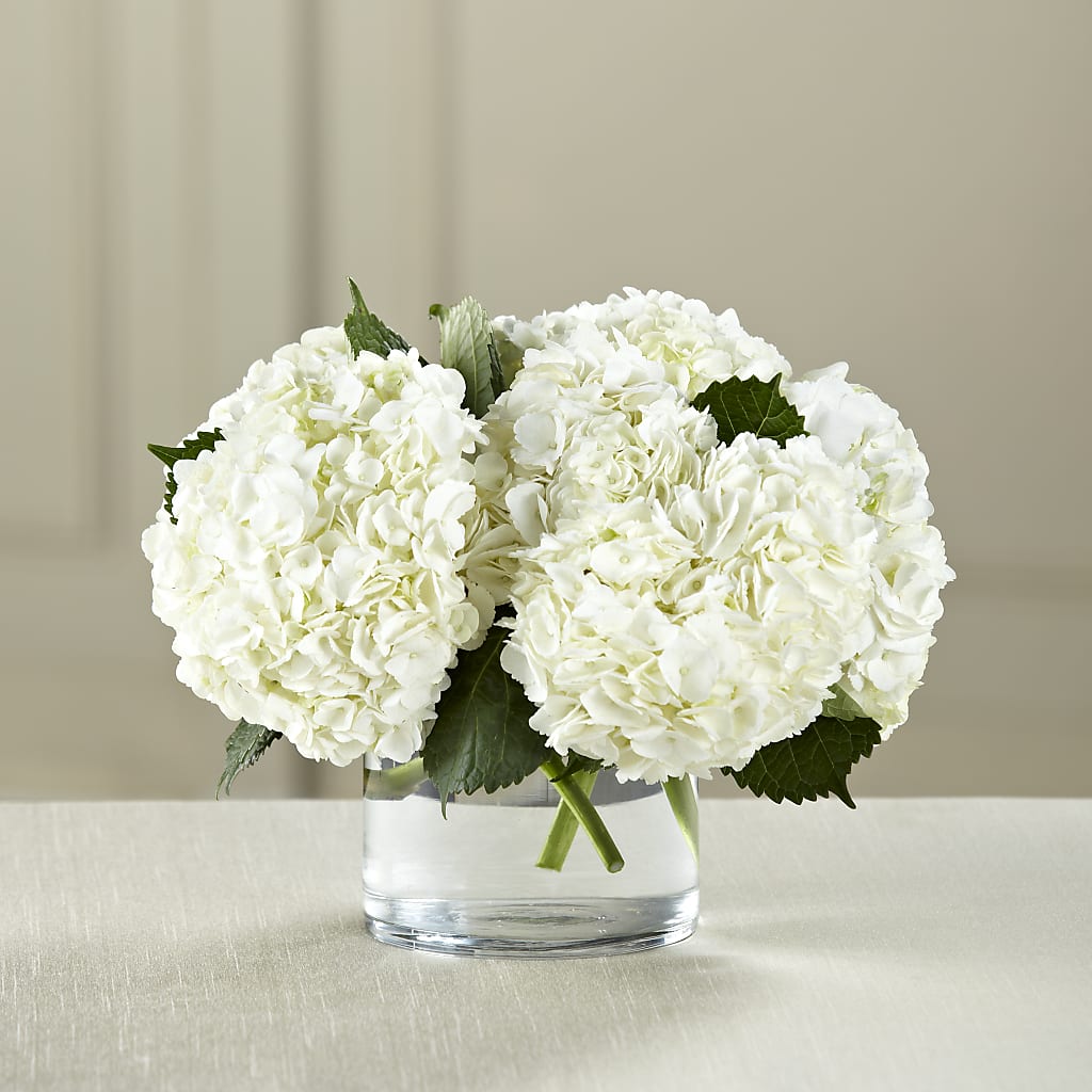 White Hydrangea Bouquet – HUTCHINSON'S FLOWERS INC, Sykesville MD