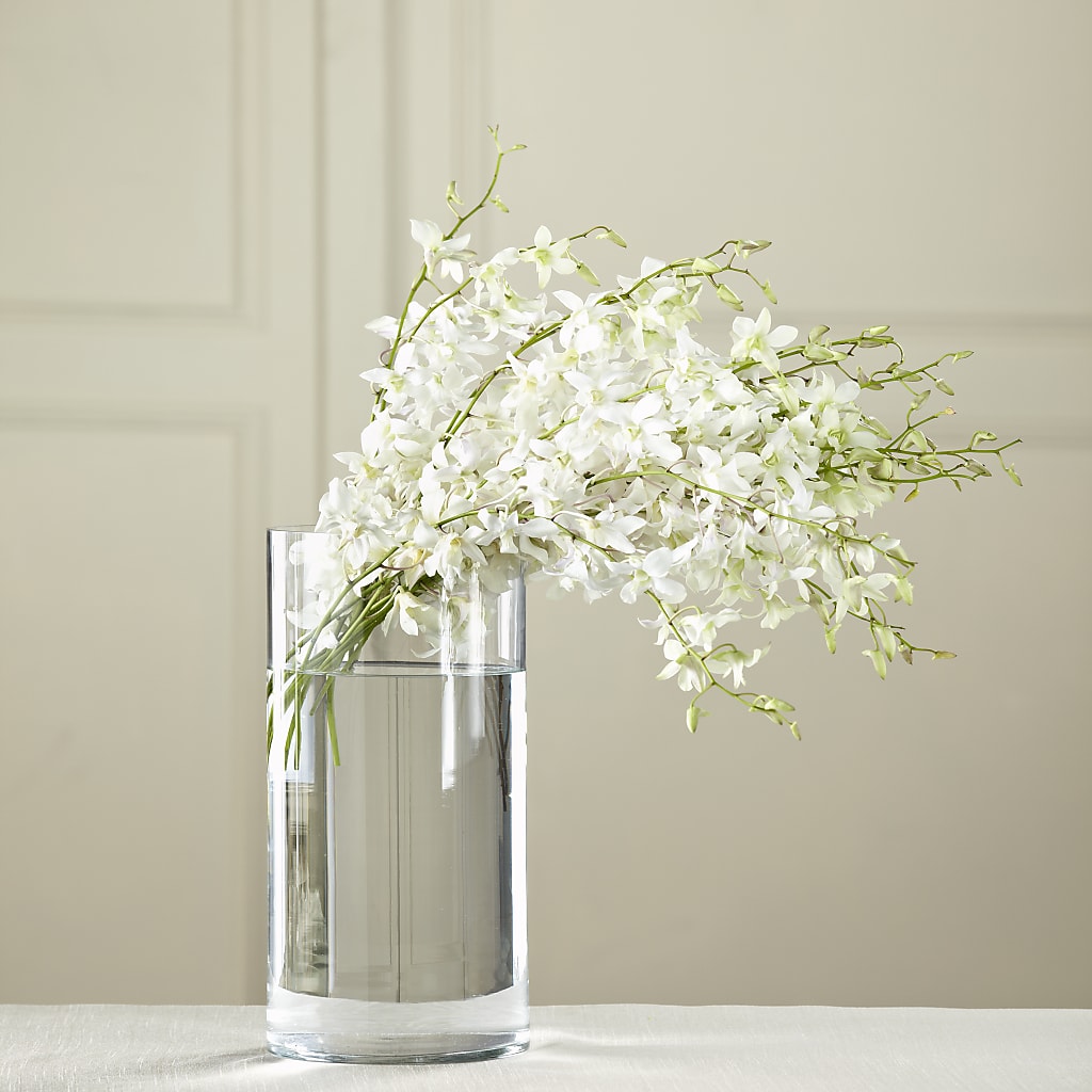 White Dendrobium Bouquet – HUTCHINSON'S FLOWERS INC, Sykesville MD