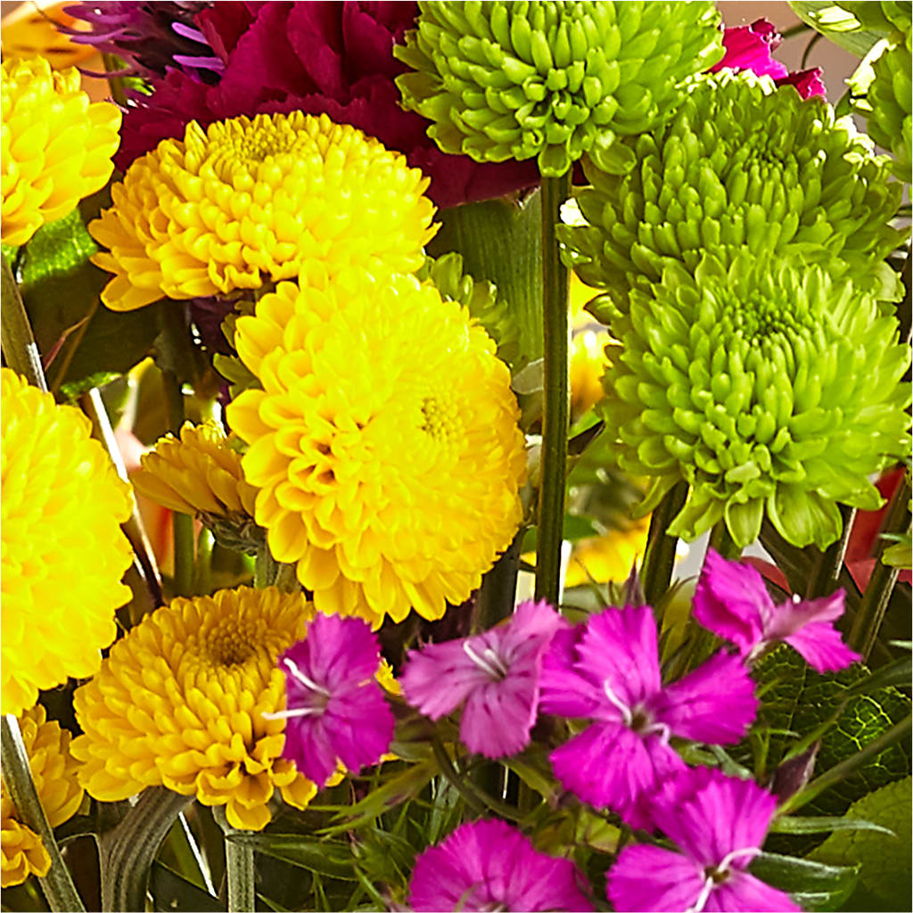 Bold & Bright – A Florist Original – HUTCHINSON'S FLOWERS INC, Sykesville MD