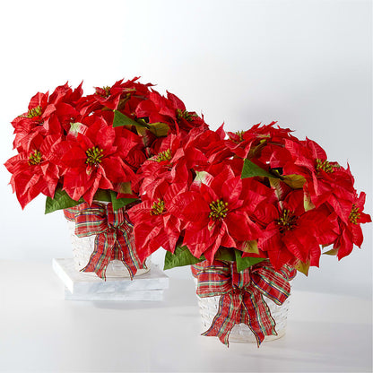 Happiest Holidays Poinsettia Bundle – HUTCHINSON'S FLOWERS INC, Sykesville MD