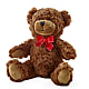 Adorable Plush Bear – HUTCHINSON'S FLOWERS INC, Sykesville MD