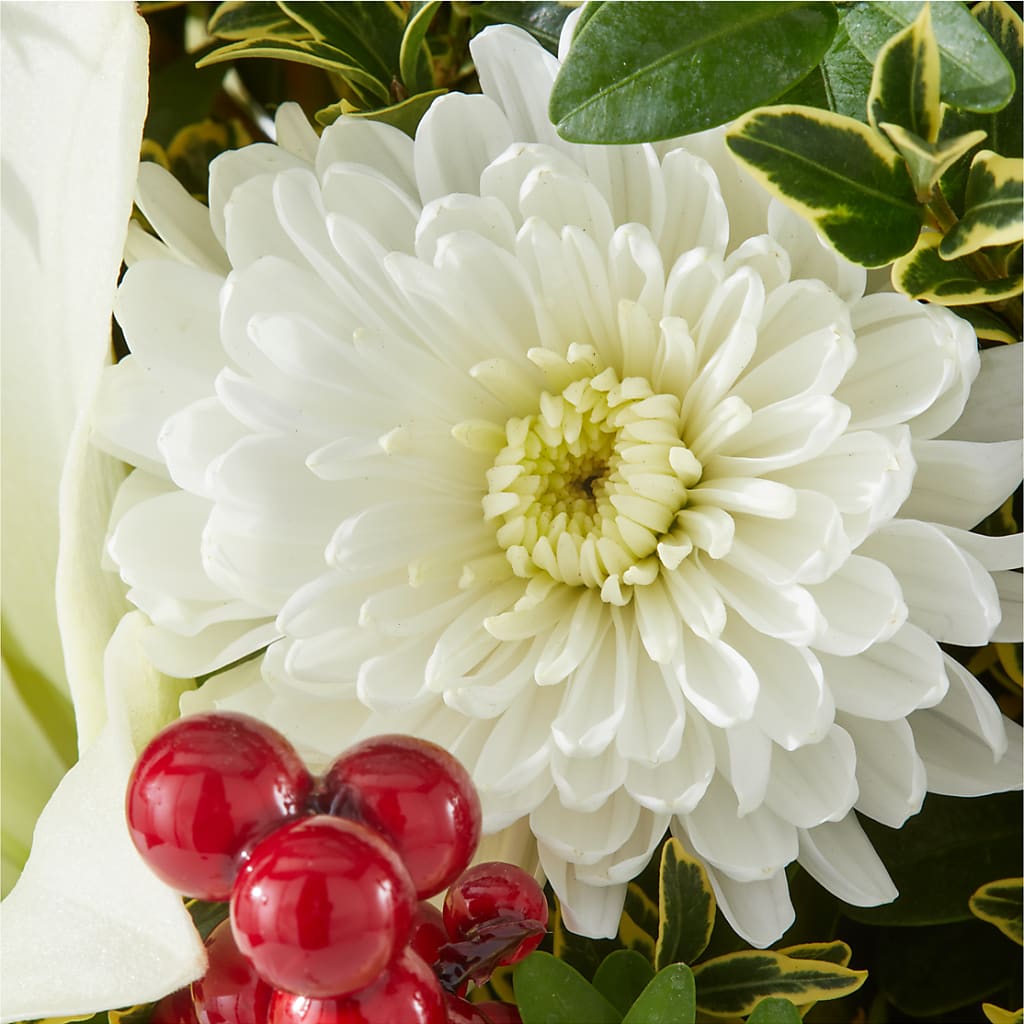 Festive Moments Tree – HUTCHINSON'S FLOWERS INC, Sykesville MD