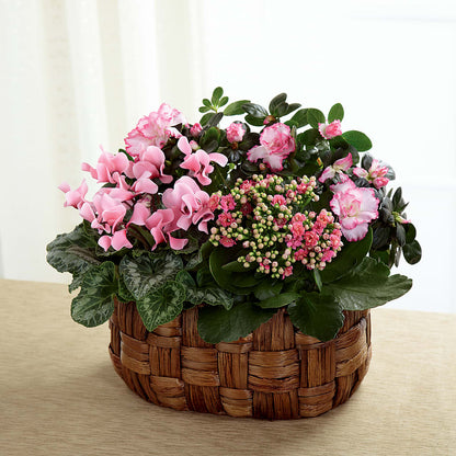 Pink Assortment – HUTCHINSON'S FLOWERS INC, Sykesville MD