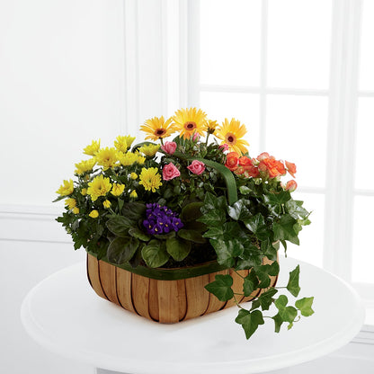 Gentle Blossoms Basket – HUTCHINSON'S FLOWERS INC, Sykesville MD