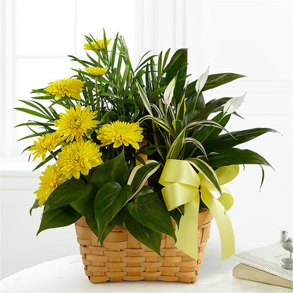 Loving Light Dishgarden – HUTCHINSON'S FLOWERS INC, Sykesville MD