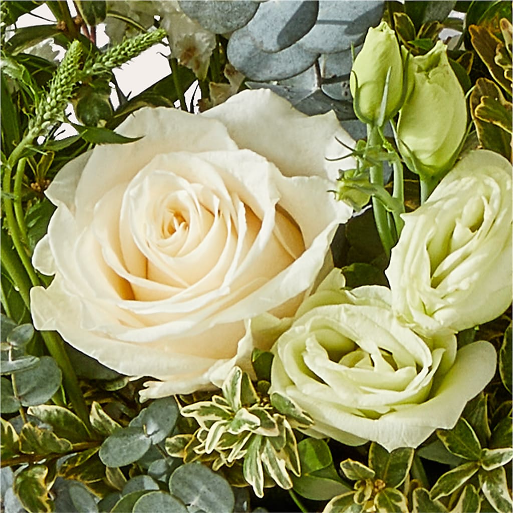 Cashmere Bouquet – HUTCHINSON'S FLOWERS INC, Sykesville MD