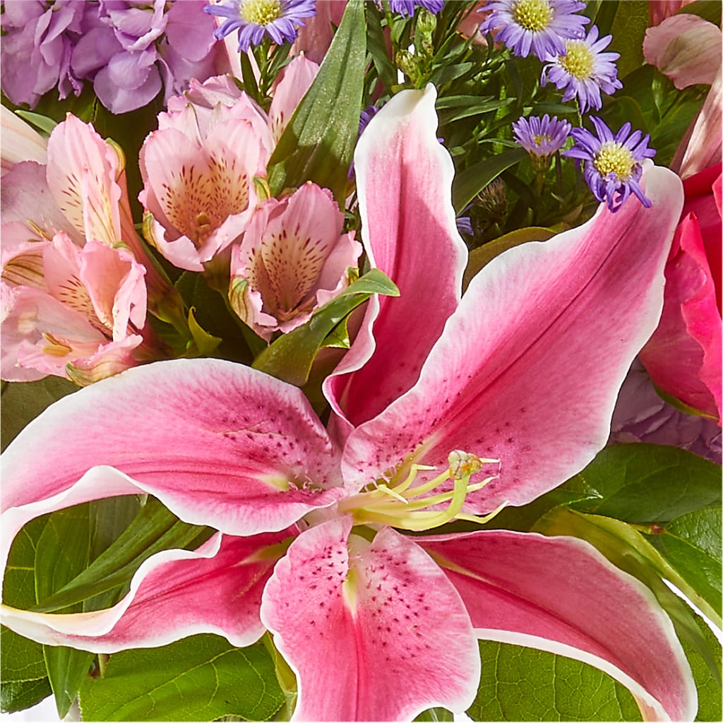 Written in the Stars Bouquet – HUTCHINSON'S FLOWERS INC, Sykesville MD
