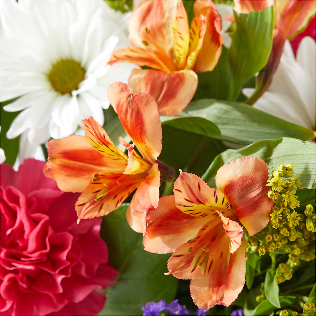Oopsie Daisy Box Bouquet – HUTCHINSON'S FLOWERS INC, Sykesville MD