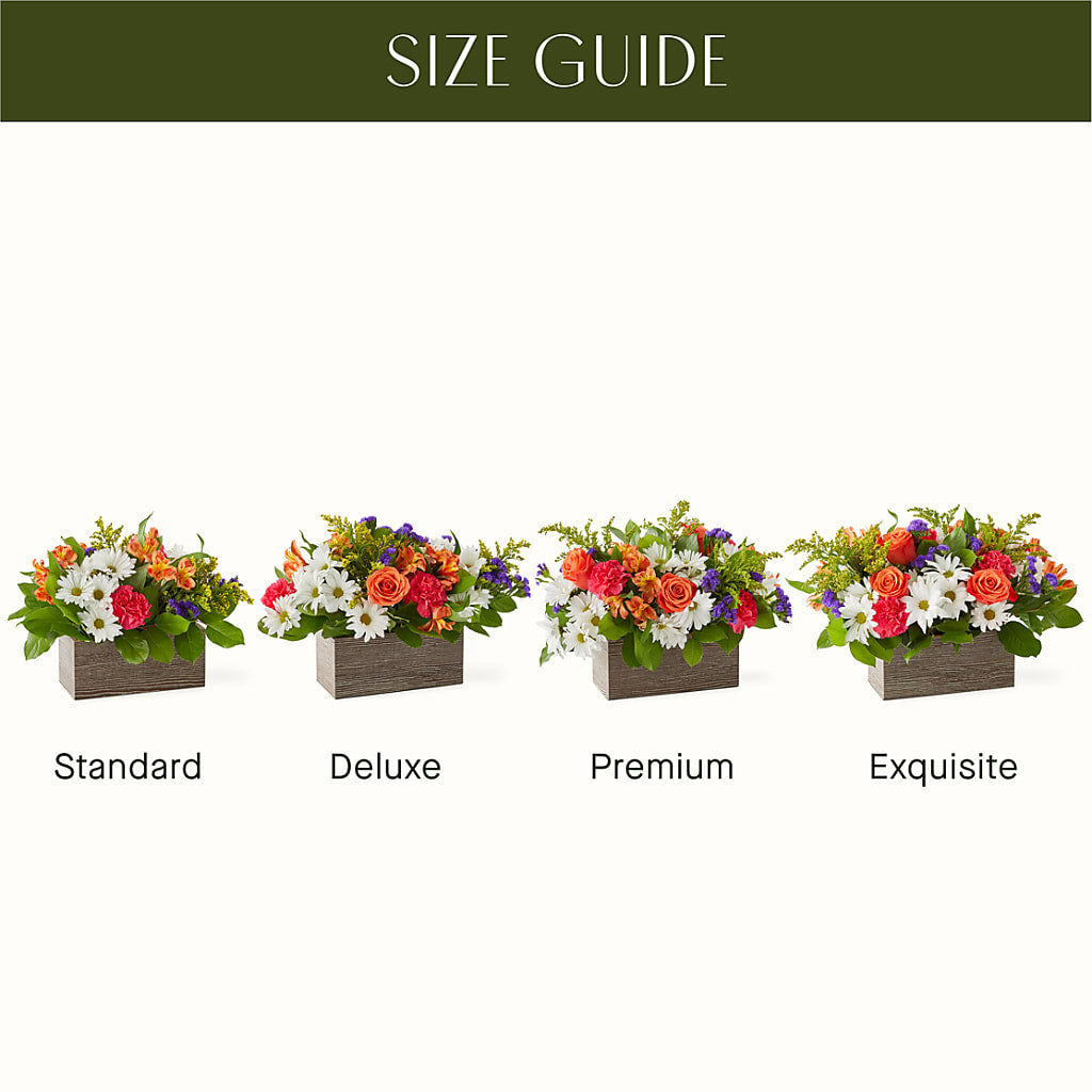 Oopsie Daisy Box Bouquet – HUTCHINSON'S FLOWERS INC, Sykesville MD