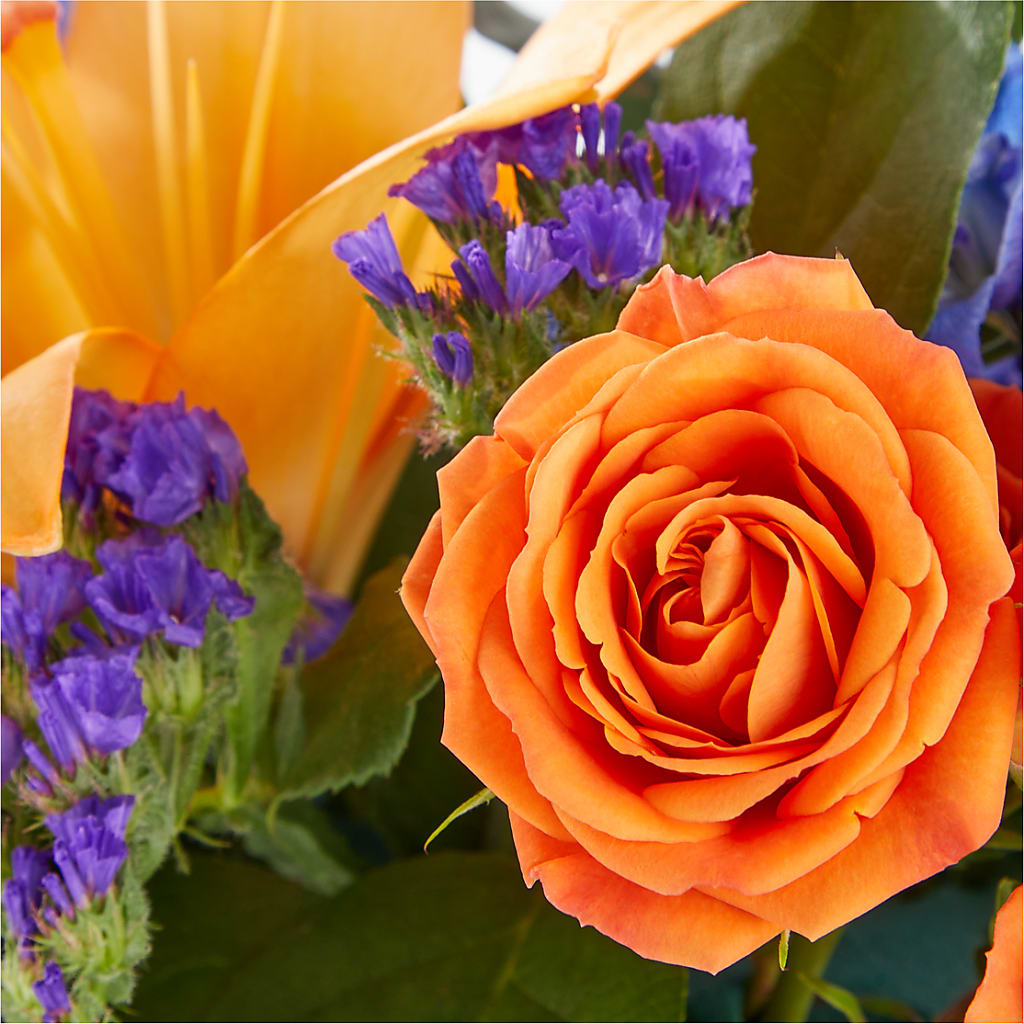 Radiant Citrus Box Bouquet – HUTCHINSON'S FLOWERS INC, Sykesville MD