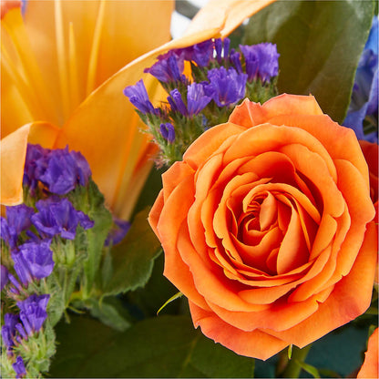 Radiant Citrus Box Bouquet – HUTCHINSON'S FLOWERS INC, Sykesville MD