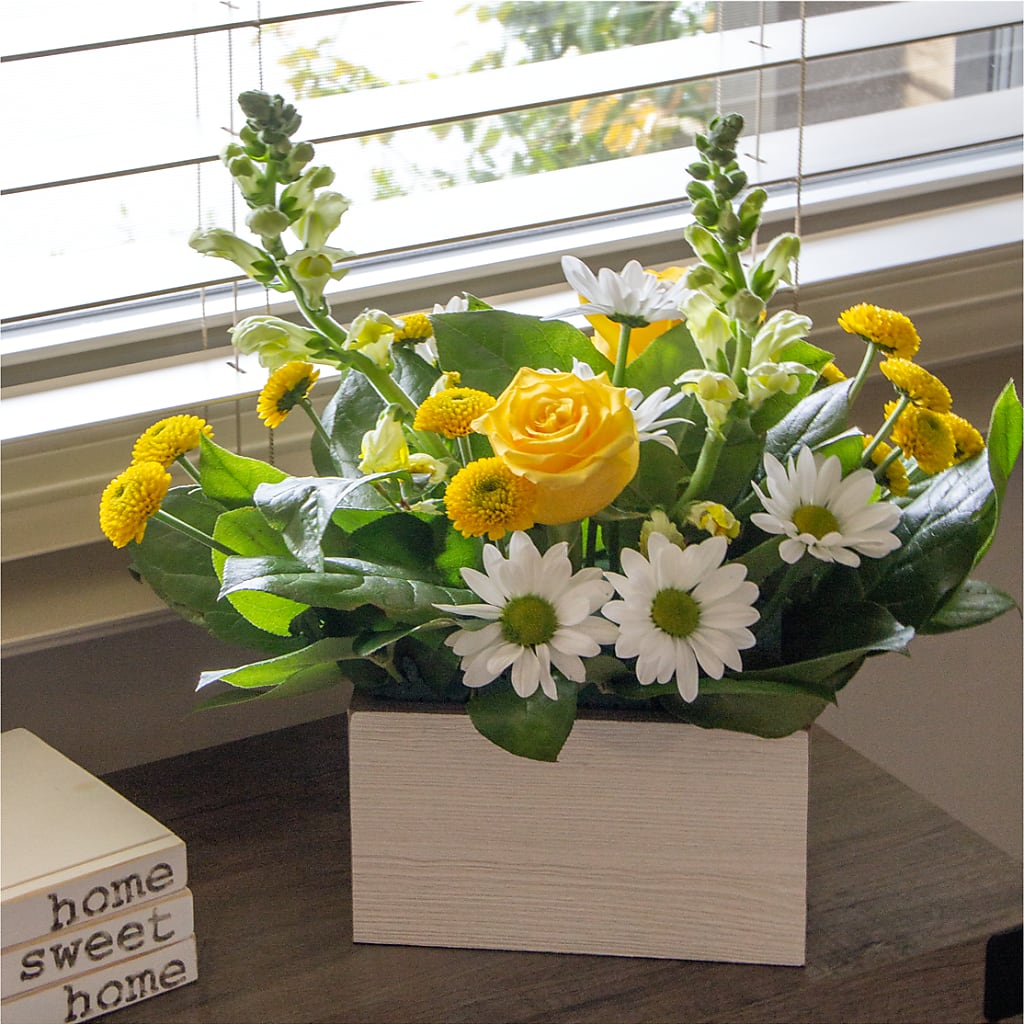 Sun Salutation Box Bouquet – HUTCHINSON'S FLOWERS INC, Sykesville MD