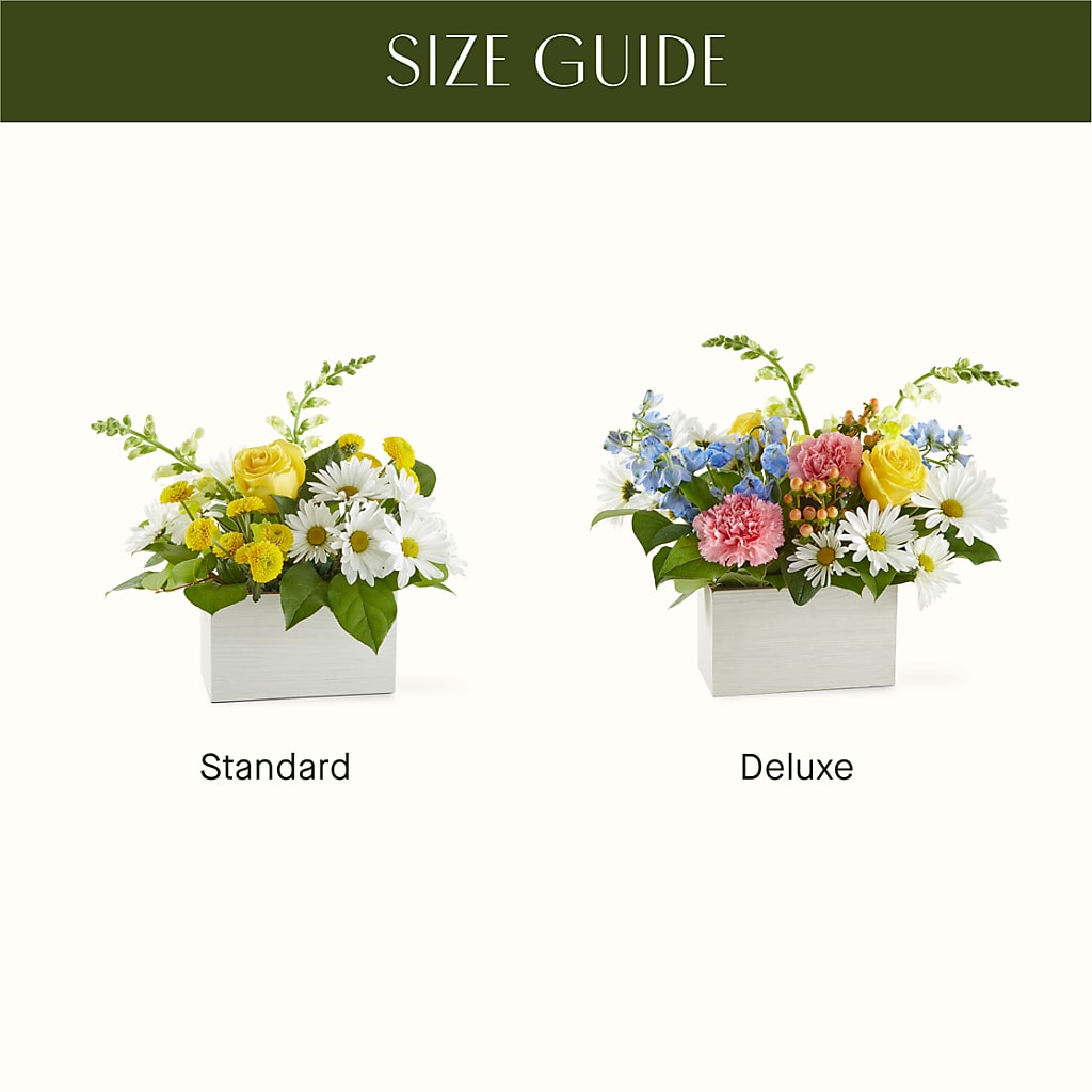 Sun Salutation Box Bouquet – HUTCHINSON'S FLOWERS INC, Sykesville MD