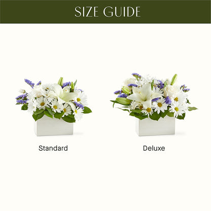 Beyond Blue Box Bouquet – HUTCHINSON'S FLOWERS INC, Sykesville MD