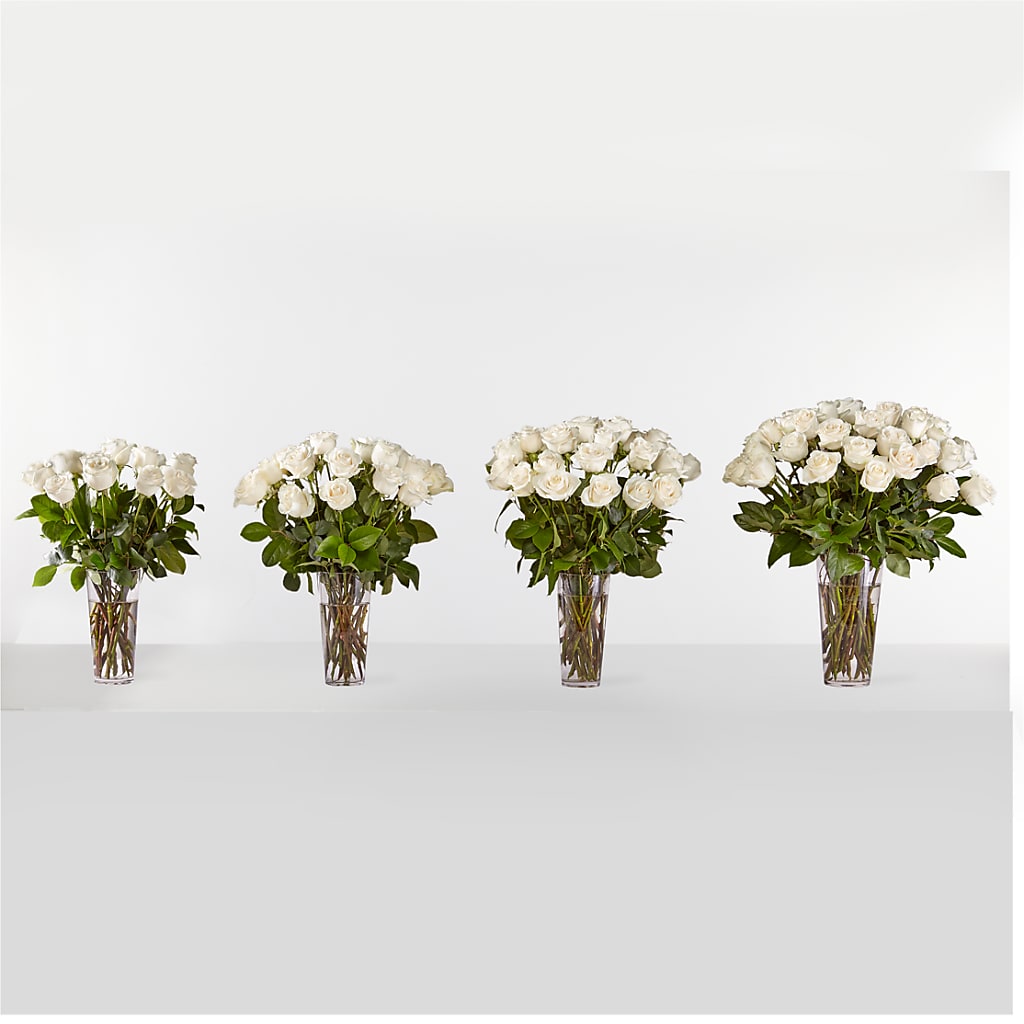 Long Stem White Rose Bouquet – HUTCHINSON'S FLOWERS INC, Sykesville MD