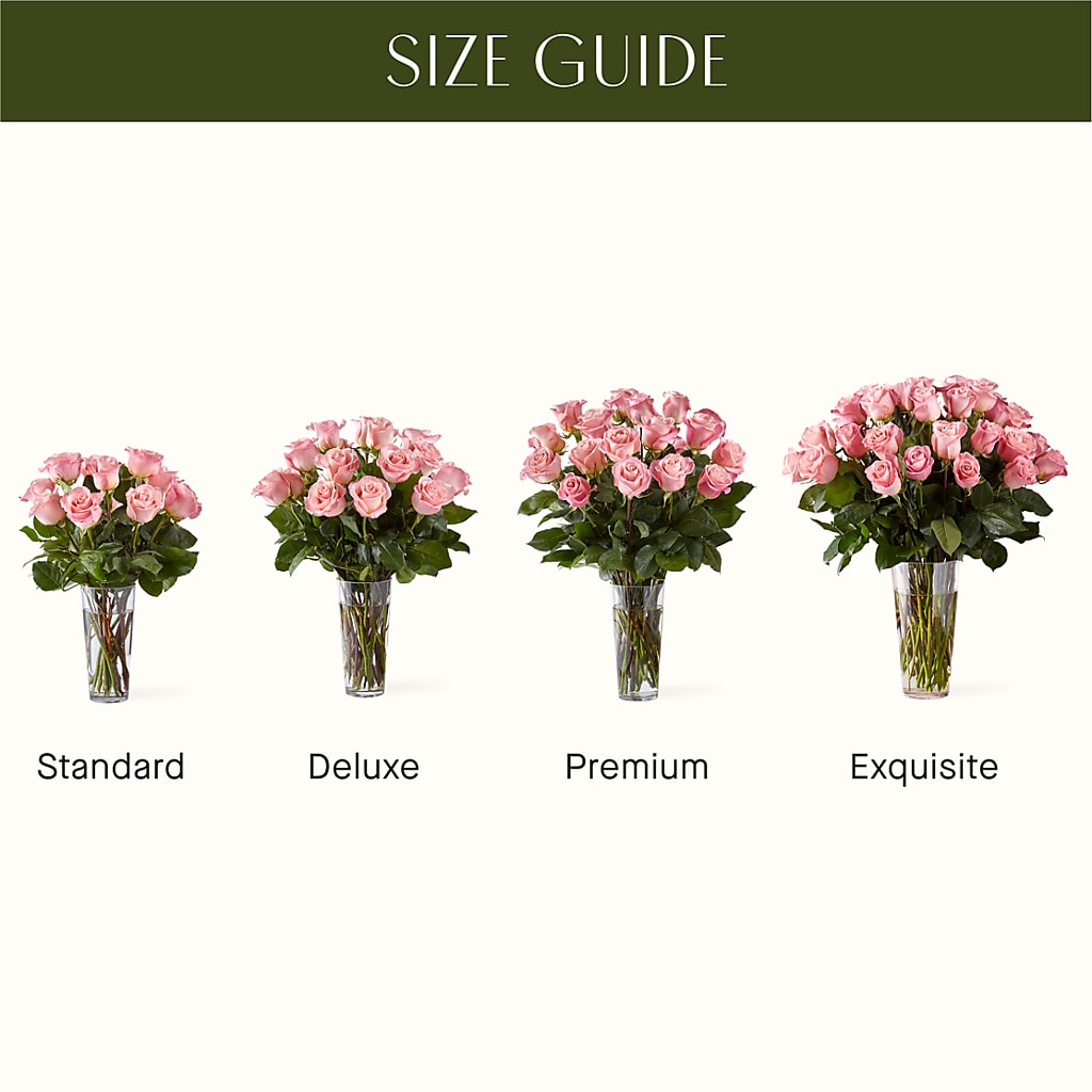 Long Stem Pink Rose Bouquet – HUTCHINSON'S FLOWERS INC, Sykesville MD
