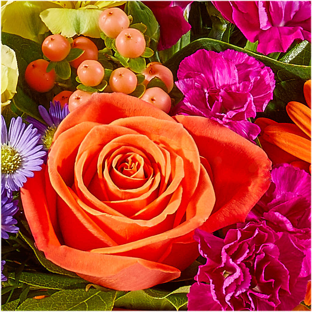 Tricks & Treats Pumpkin – HUTCHINSON'S FLOWERS INC, Sykesville MD