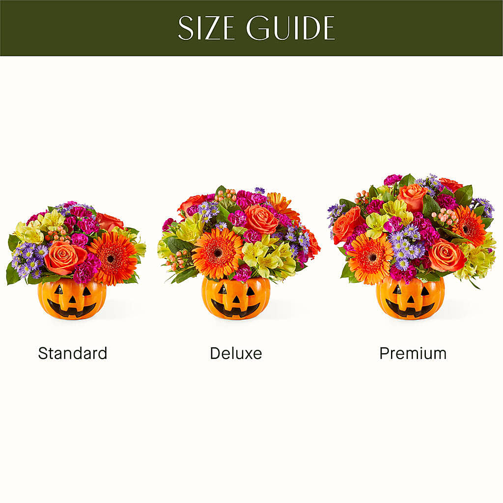 Tricks & Treats Pumpkin – HUTCHINSON'S FLOWERS INC, Sykesville MD