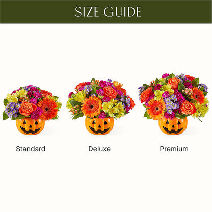 Tricks & Treats Pumpkin – HUTCHINSON'S FLOWERS INC, Sykesville MD