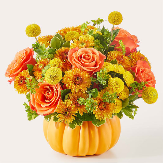 Gourdgeous Pumpkin – HUTCHINSON'S FLOWERS INC, Sykesville MD