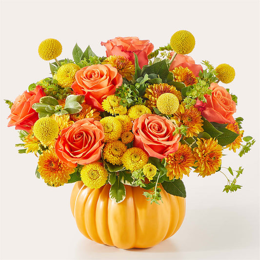 Gourdgeous Pumpkin – HUTCHINSON'S FLOWERS INC, Sykesville MD