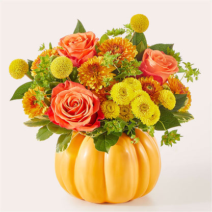 Gourdgeous Pumpkin – HUTCHINSON'S FLOWERS INC, Sykesville MD