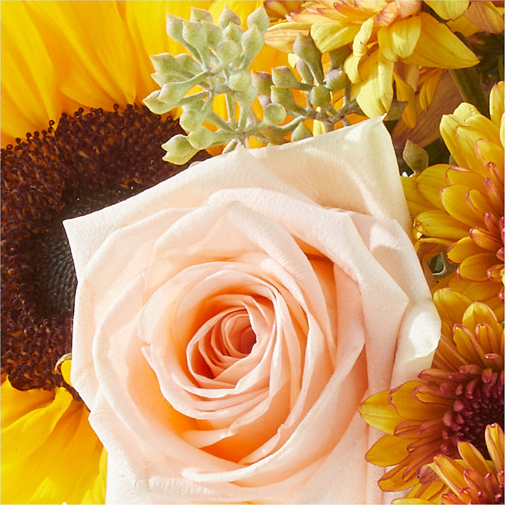 Pumpkin to Talk About Bouquet – HUTCHINSON'S FLOWERS INC, Sykesville MD
