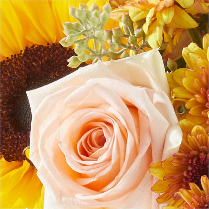 Pumpkin to Talk About Bouquet – HUTCHINSON'S FLOWERS INC, Sykesville MD
