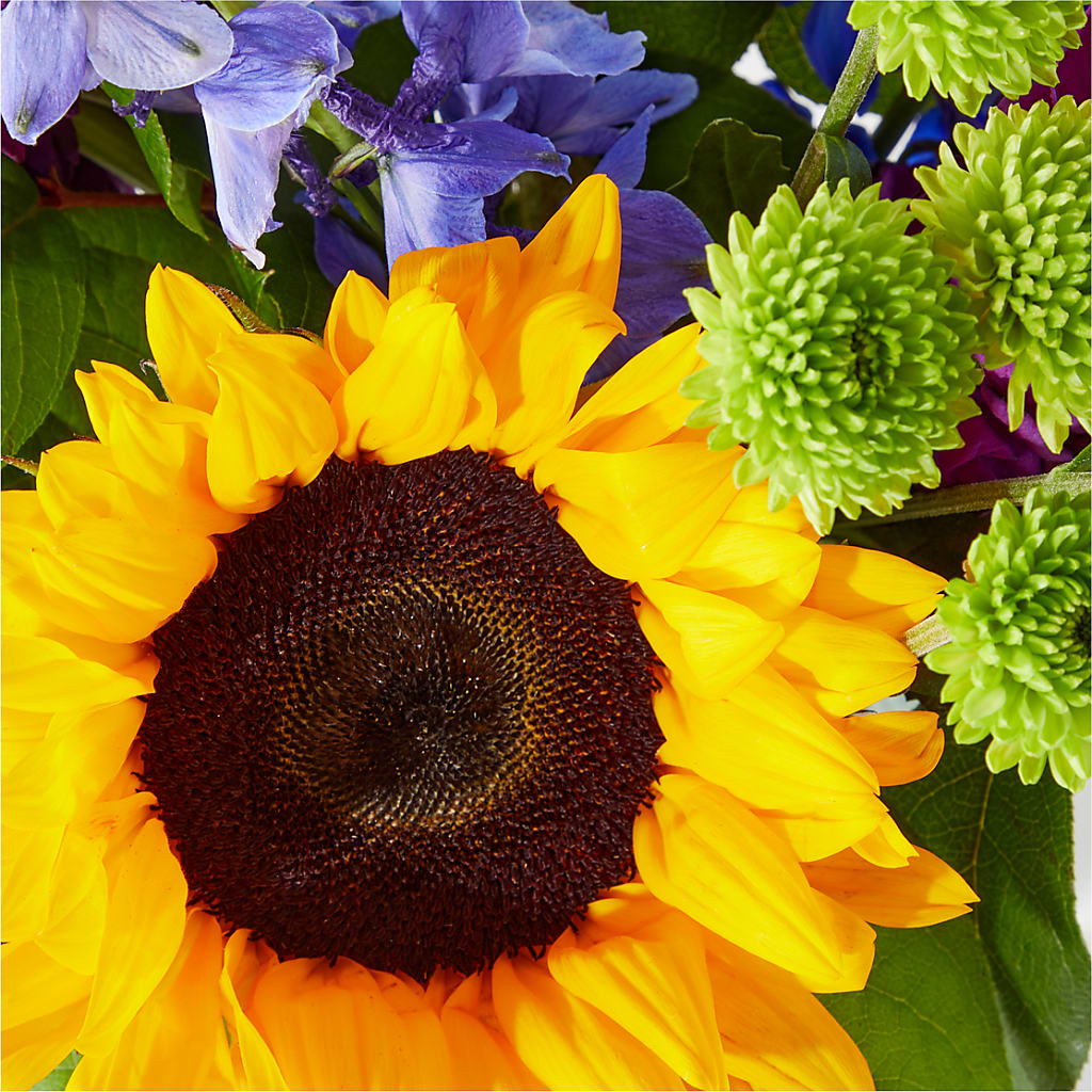 Catching Rays Bouquet – HUTCHINSON'S FLOWERS INC, Sykesville MD