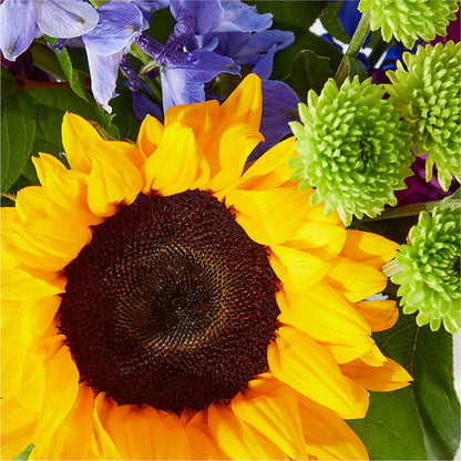 Catching Rays Bouquet – HUTCHINSON'S FLOWERS INC, Sykesville MD