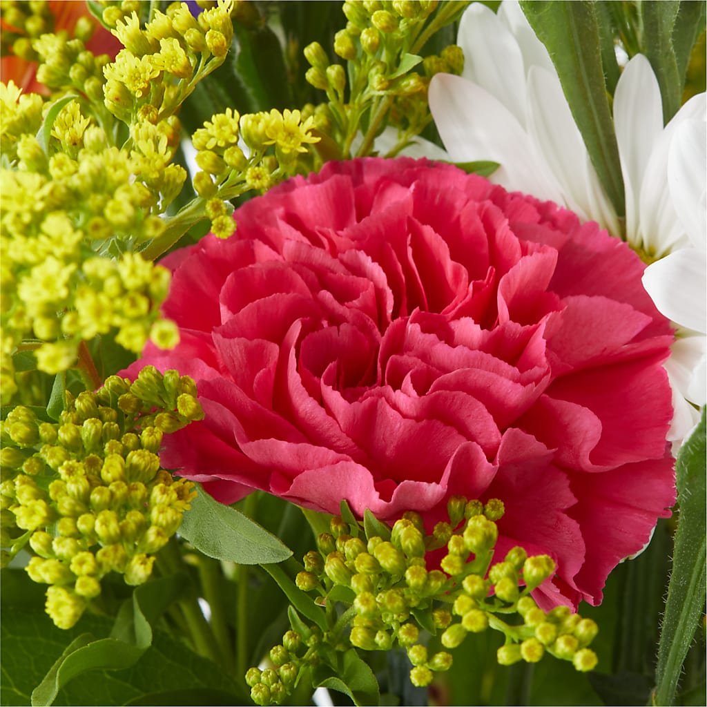 Oopsie Daisy Bouquet – HUTCHINSON'S FLOWERS INC, Sykesville MD