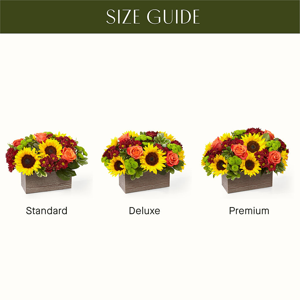 Happy Harvest Garden – HUTCHINSON'S FLOWERS INC, Sykesville MD