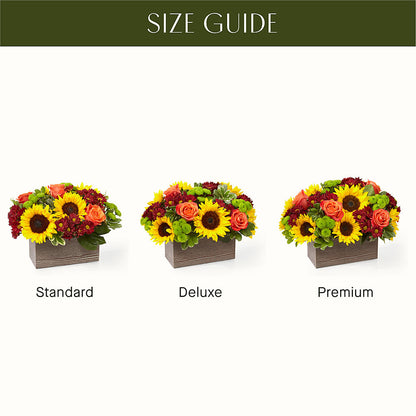 Happy Harvest Garden – HUTCHINSON'S FLOWERS INC, Sykesville MD