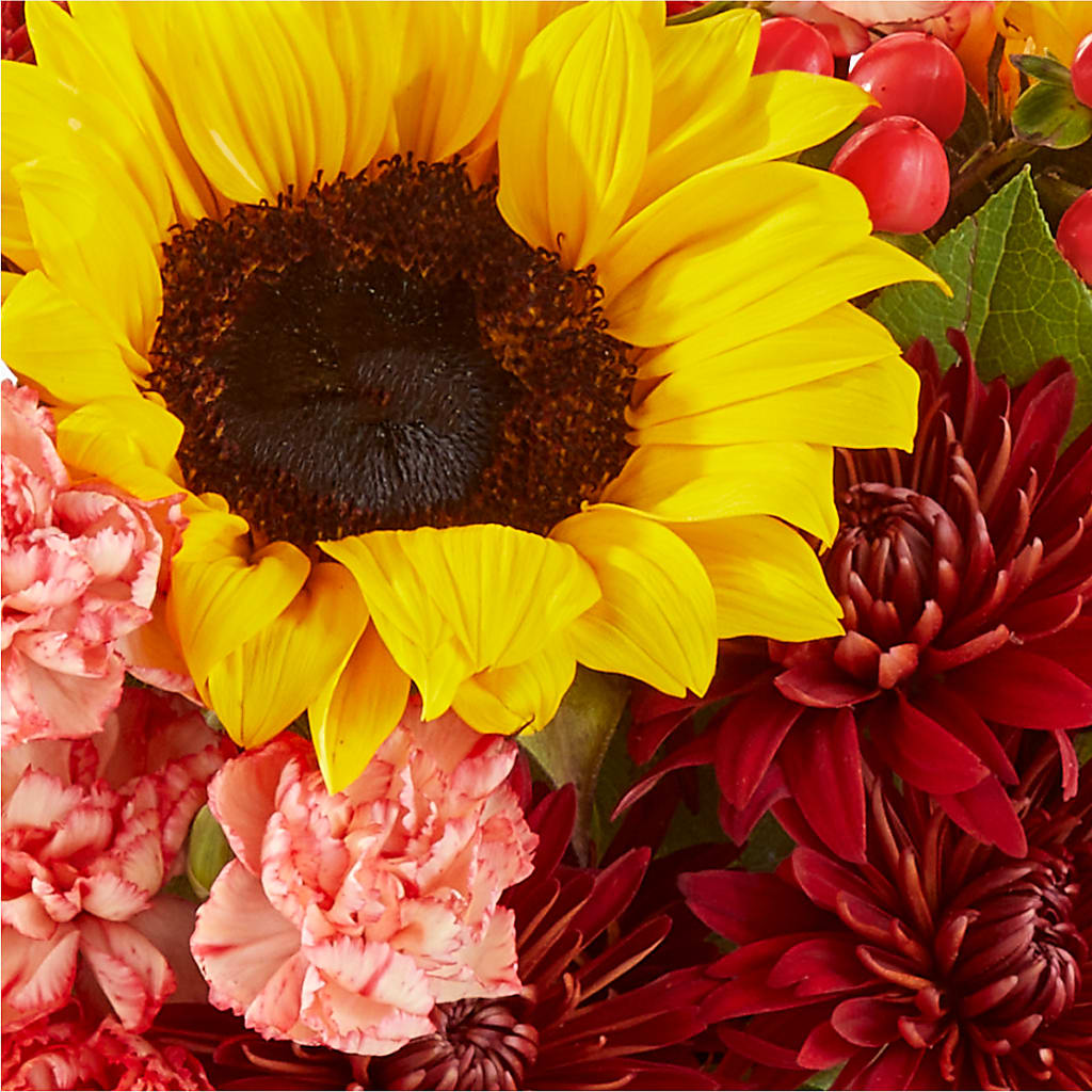 Fresh Cider Bouquet – HUTCHINSON'S FLOWERS INC, Sykesville MD