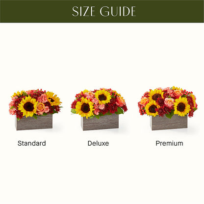 Fresh Cider Bouquet – HUTCHINSON'S FLOWERS INC, Sykesville MD