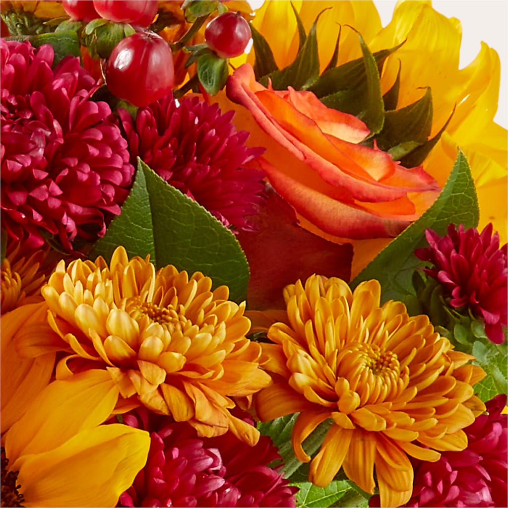 Sweater Season - A Florist Original – HUTCHINSON'S FLOWERS INC, Sykesville MD