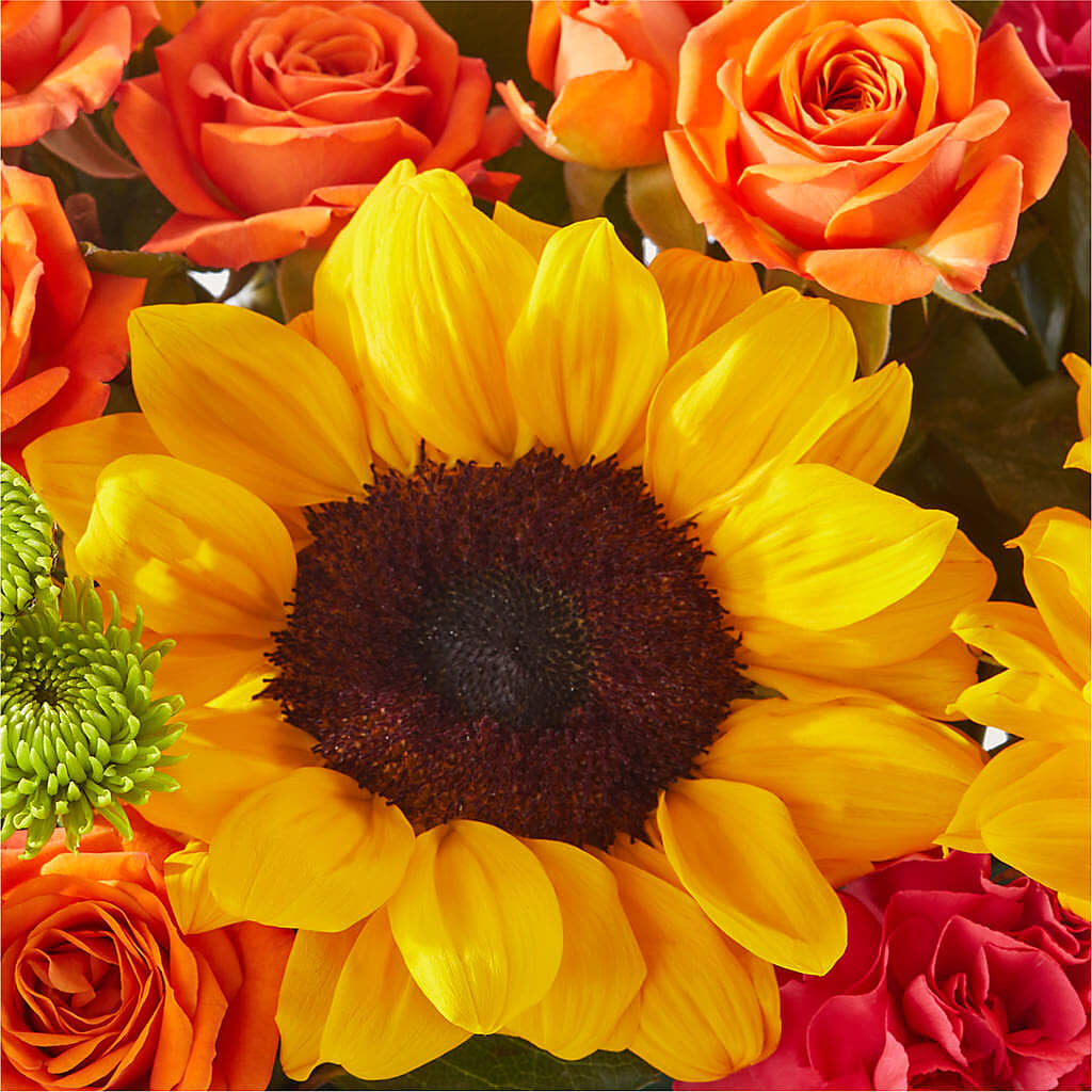 Sun-drenched Blooms Box Bouquet – HUTCHINSON'S FLOWERS INC, Sykesville MD